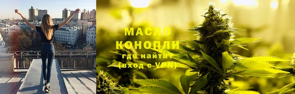 хмурый Бородино
