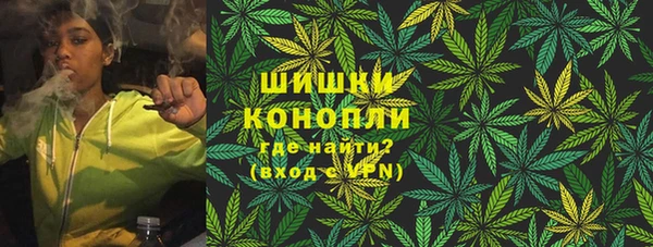 хмурый Бородино