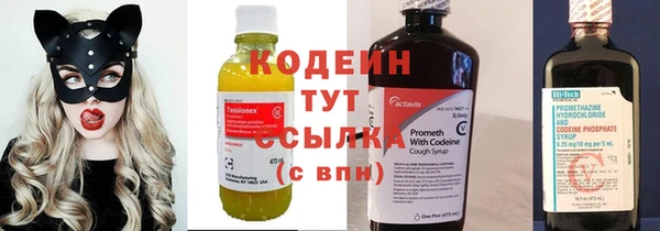 хмурый Бородино