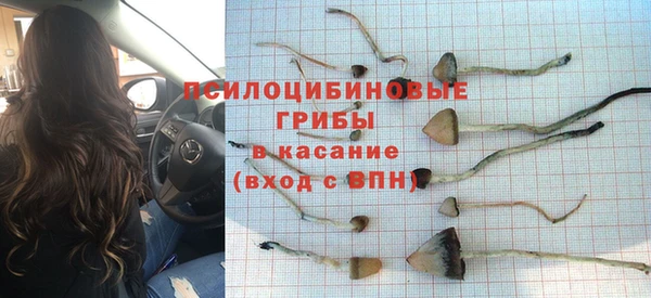 хмурый Бронницы