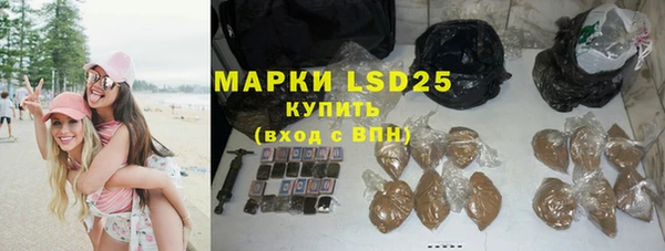 хмурый Бородино